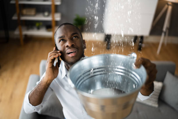Best Mold removal after water damage  in Duncannon, PA