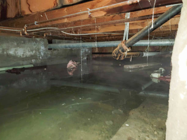 Best Flood restoration services  in Duncannon, PA