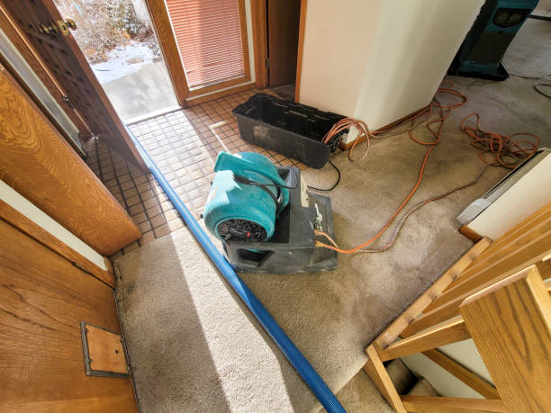 Best Flood damage cleanup  in Duncannon, PA