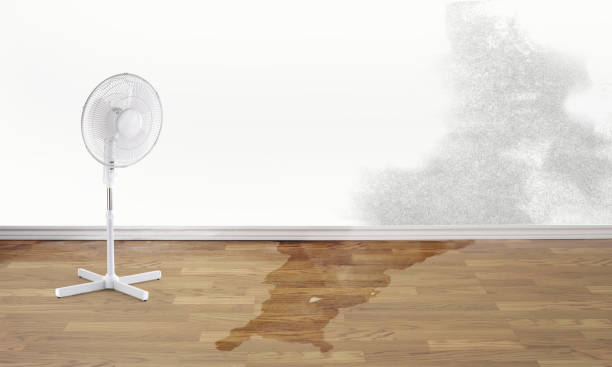Best Water damage restoration near me  in Duncannon, PA