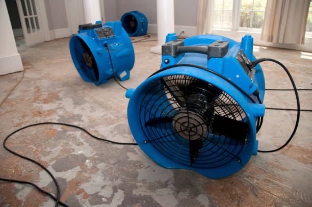 Best Water damage cleanup near me  in Duncannon, PA