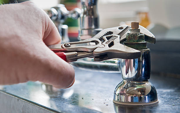 Best Flooded house restoration  in Duncannon, PA