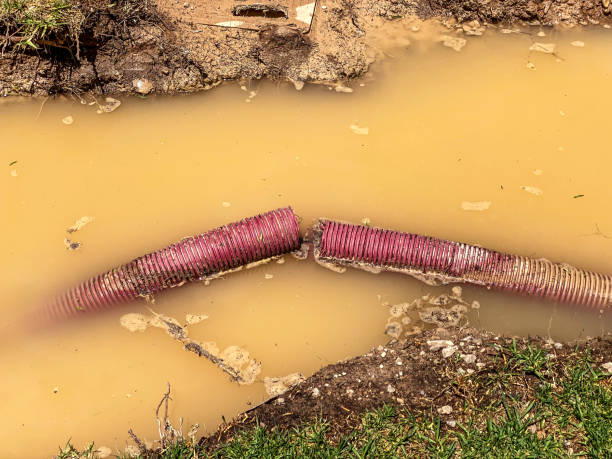 Water damage restoration mold remediation in Duncannon, PA