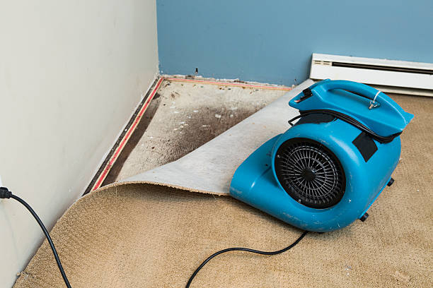 Best Water damage cleanup near me  in Duncannon, PA